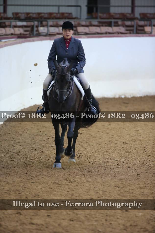 Proof 18R2_03486