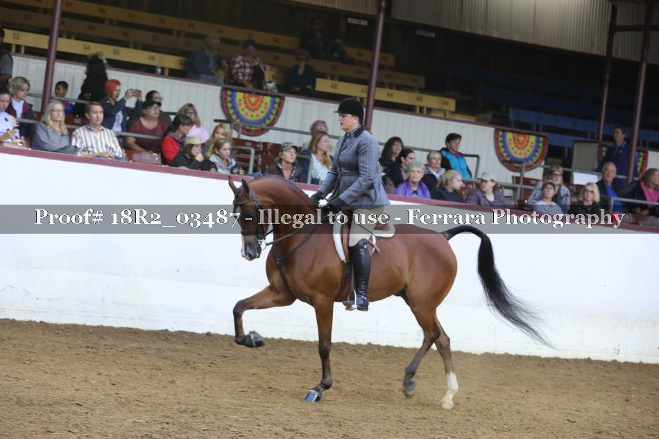 Proof 18R2_03487