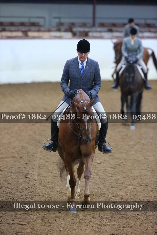 Proof 18R2_03488