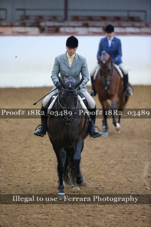 Proof 18R2_03489