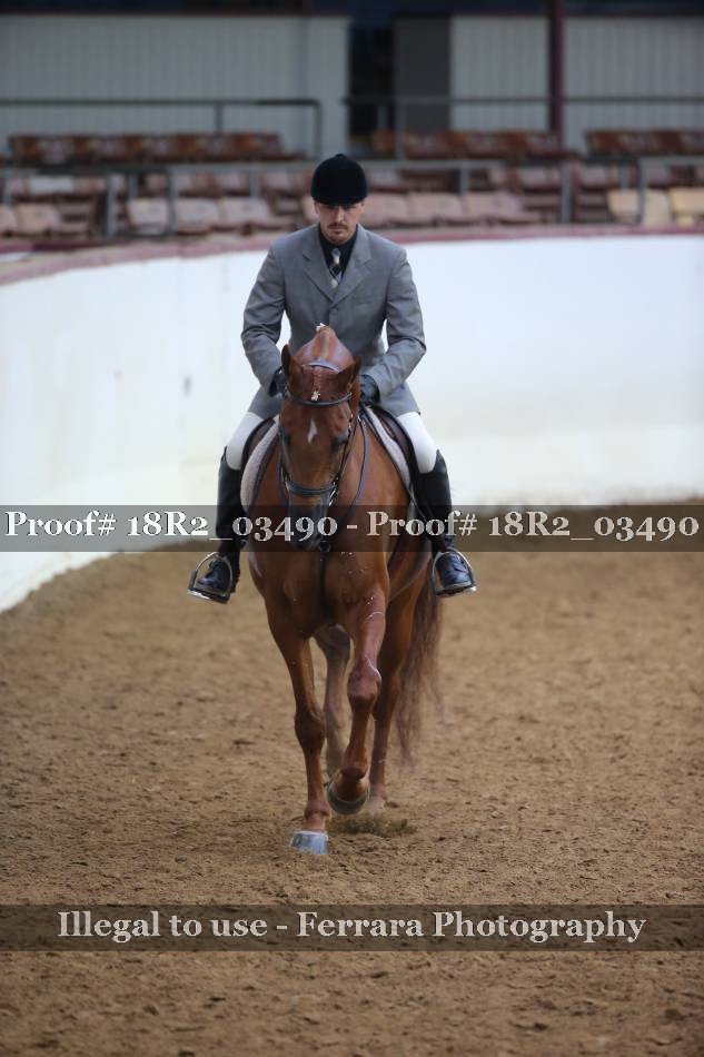 Proof 18R2_03490