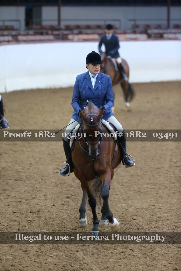 Proof 18R2_03491