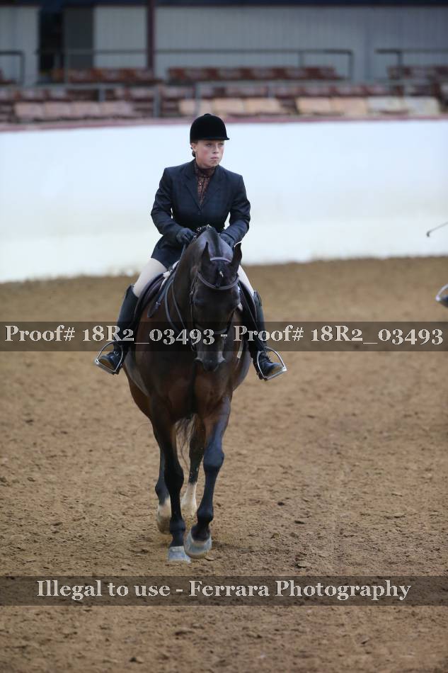 Proof 18R2_03493