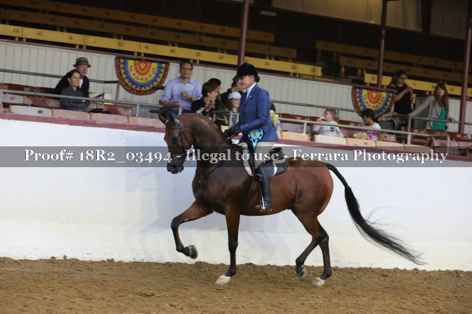 Proof 18R2_03494