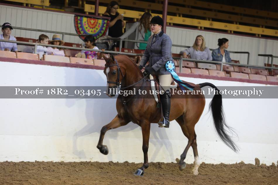 Proof 18R2_03495