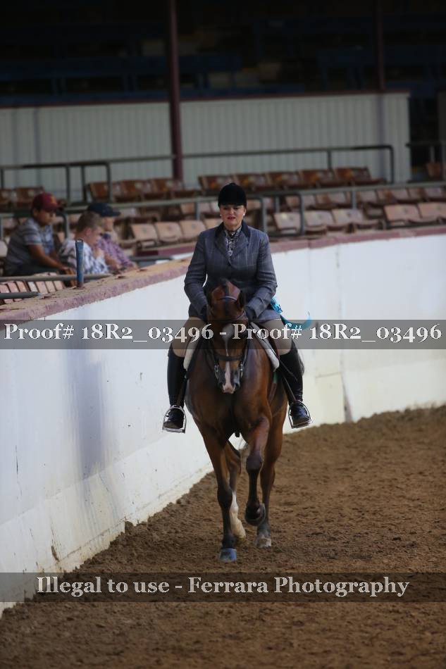 Proof 18R2_03496
