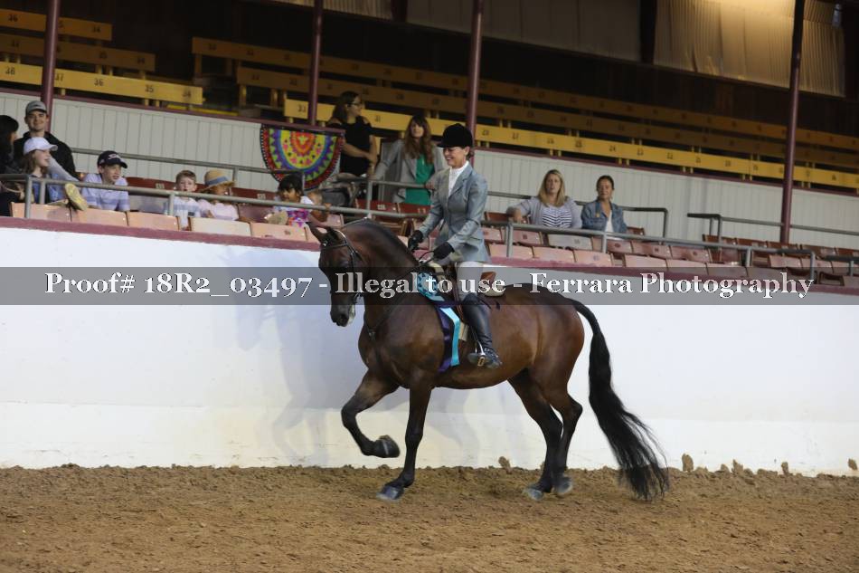 Proof 18R2_03497