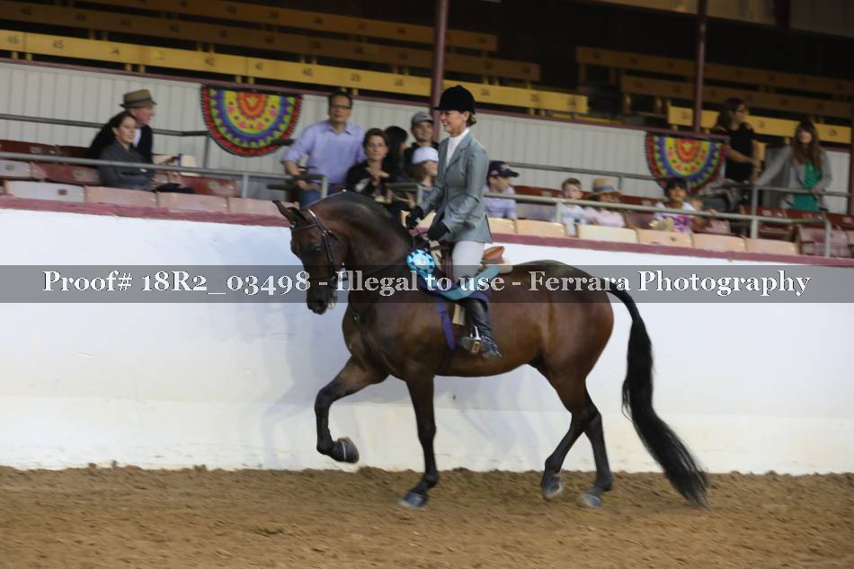 Proof 18R2_03498