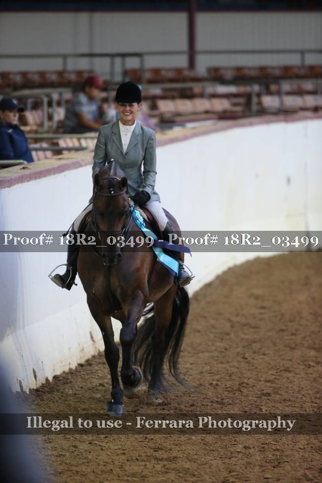 Proof 18R2_03499