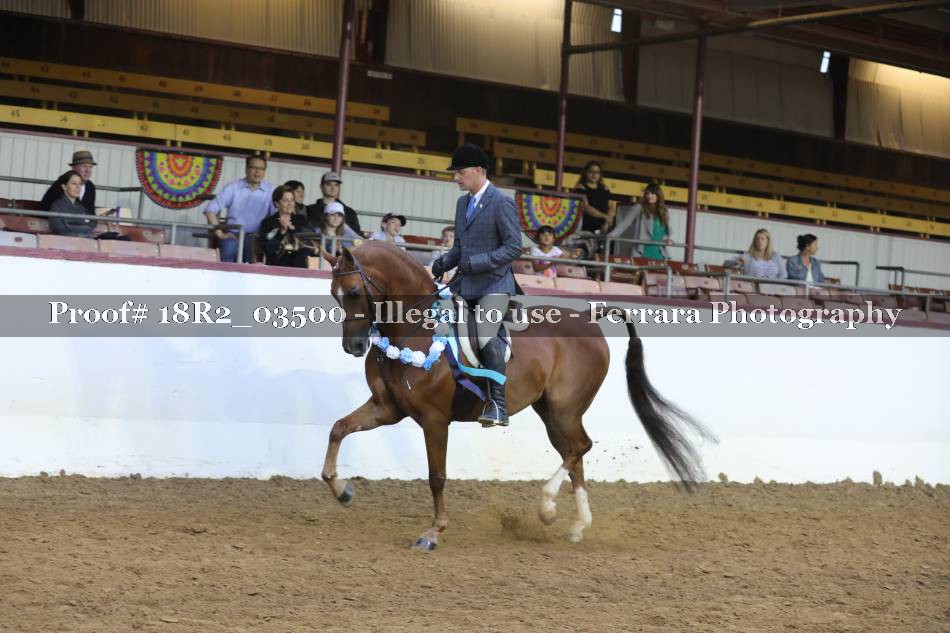 Proof 18R2_03500