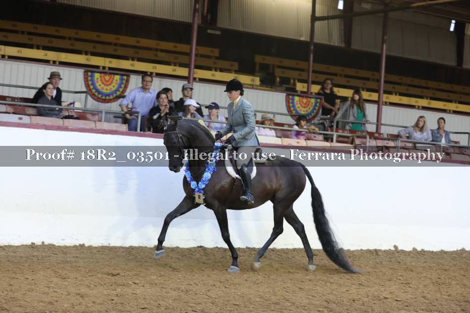 Proof 18R2_03501