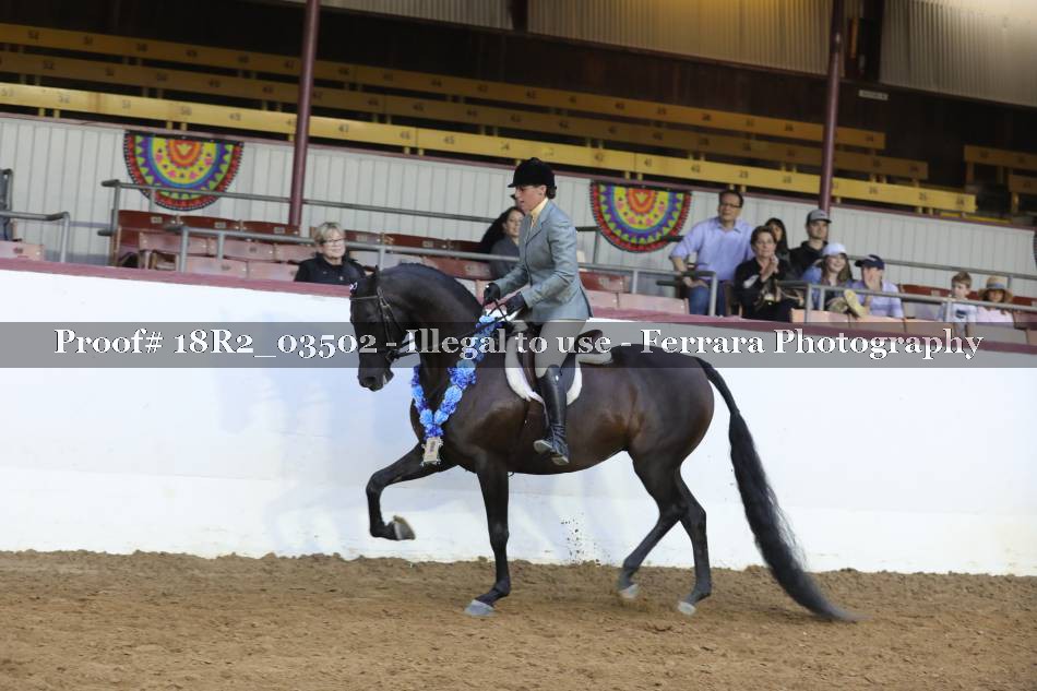 Proof 18R2_03502