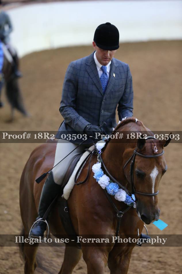 Proof 18R2_03503