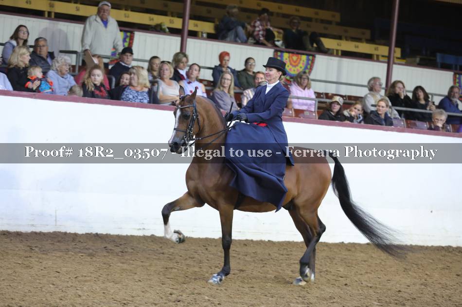 Proof 18R2_03507