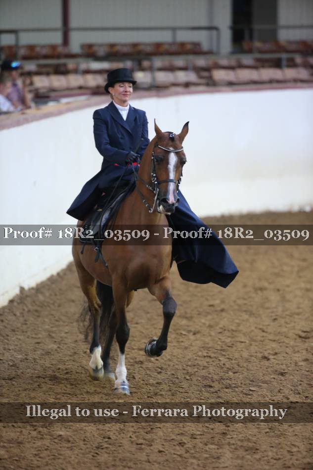 Proof 18R2_03509