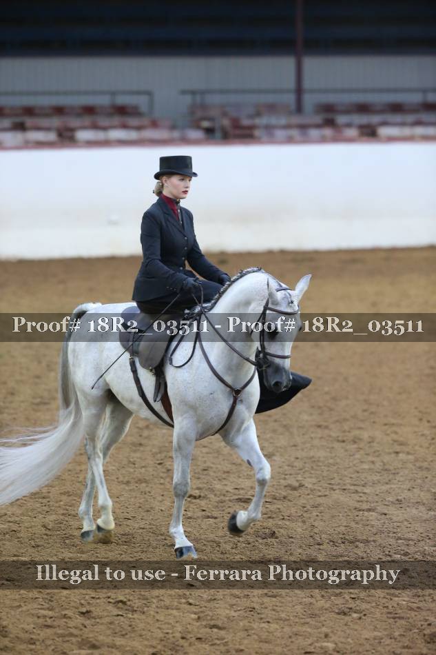 Proof 18R2_03511