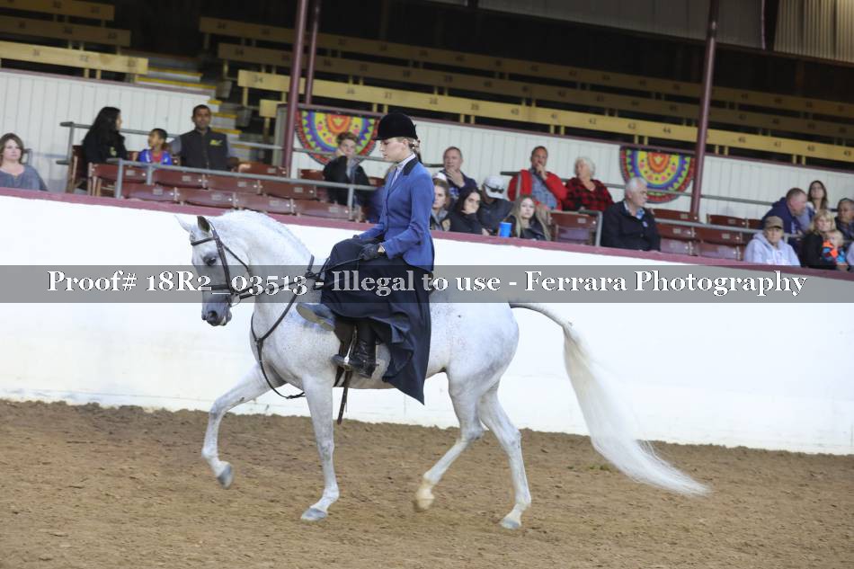 Proof 18R2_03513