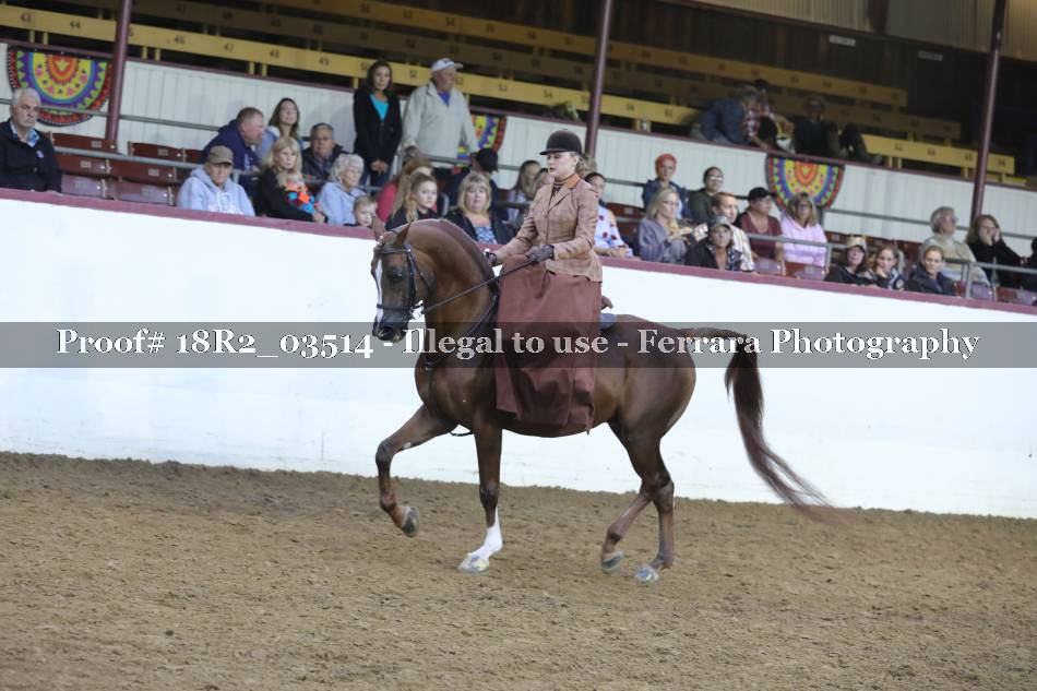 Proof 18R2_03514