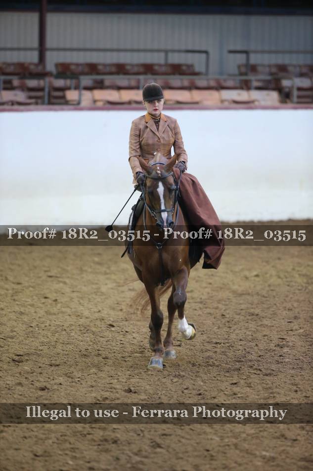 Proof 18R2_03515