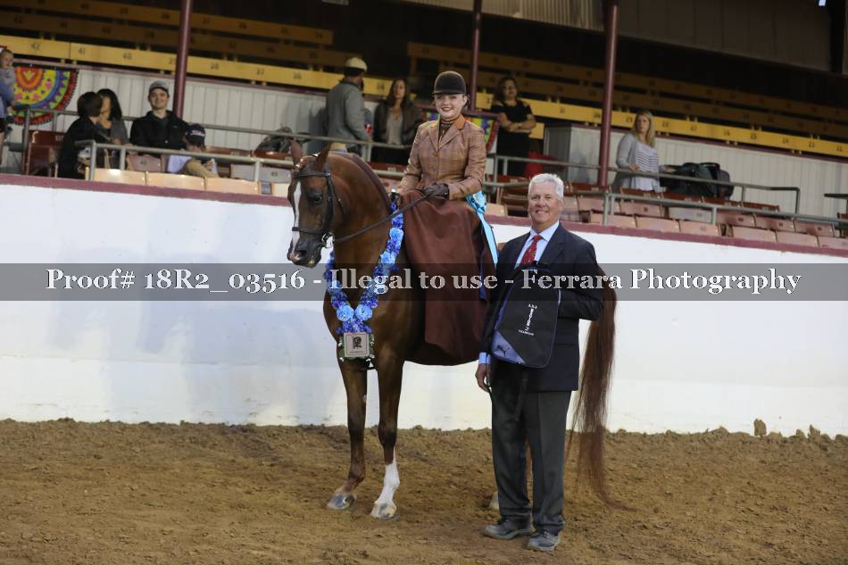 Proof 18R2_03516