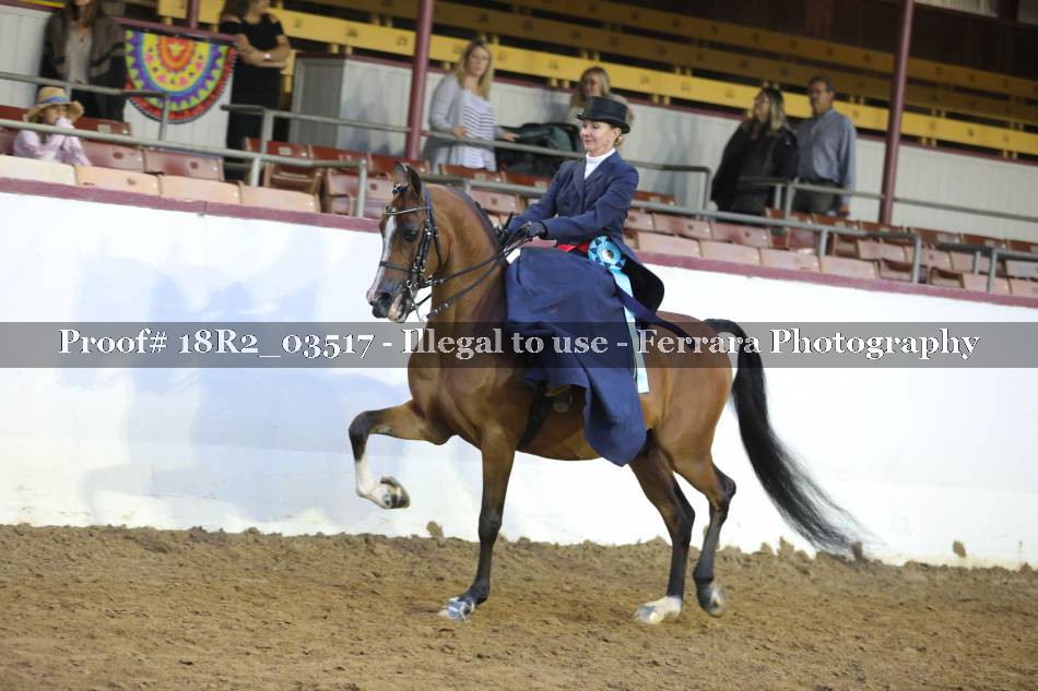 Proof 18R2_03517