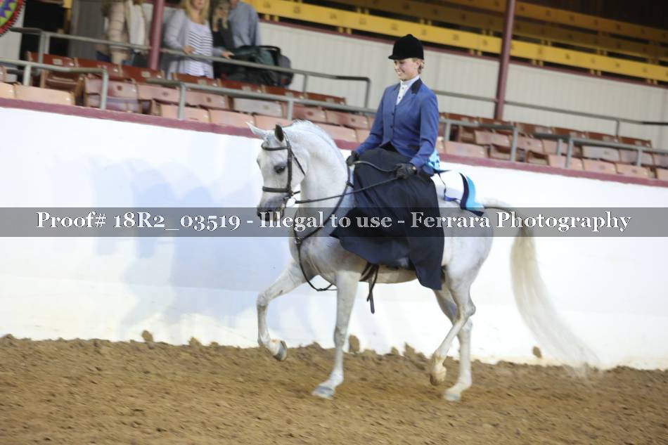 Proof 18R2_03519