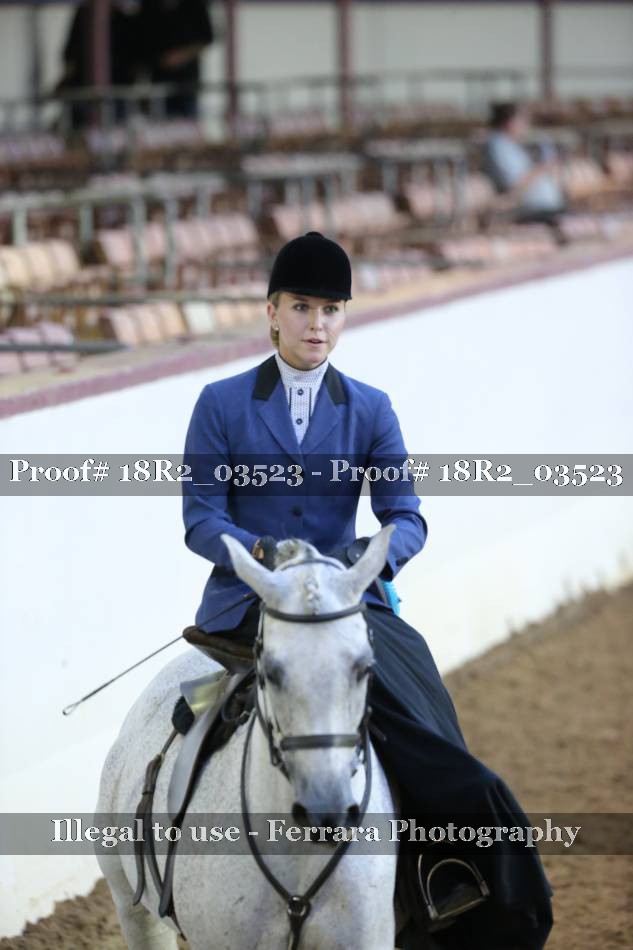 Proof 18R2_03523