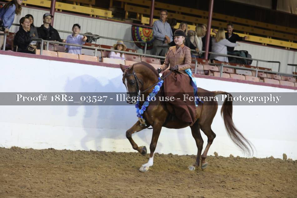 Proof 18R2_03527