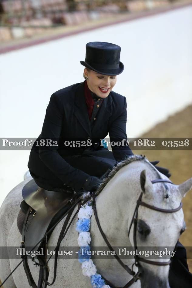 Proof 18R2_03528
