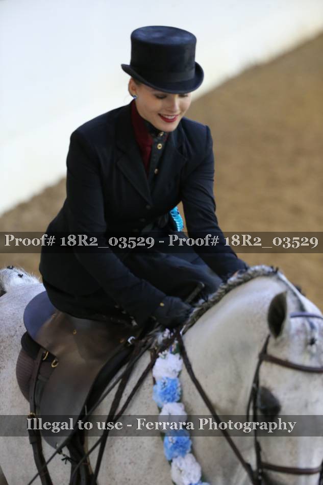 Proof 18R2_03529