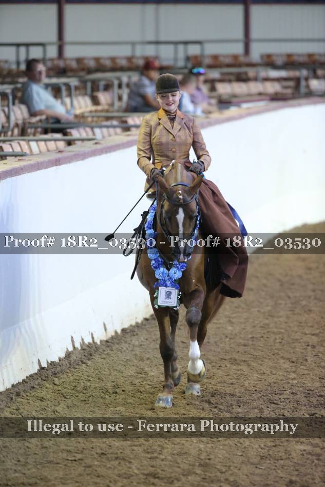 Proof 18R2_03530