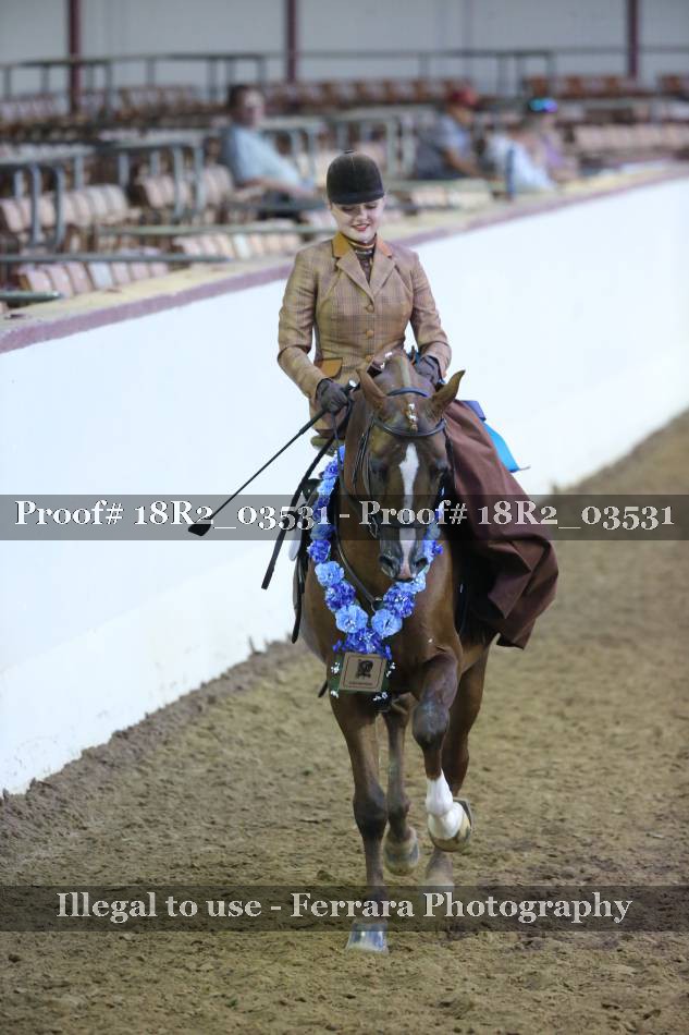 Proof 18R2_03531