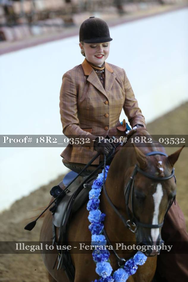 Proof 18R2_03532
