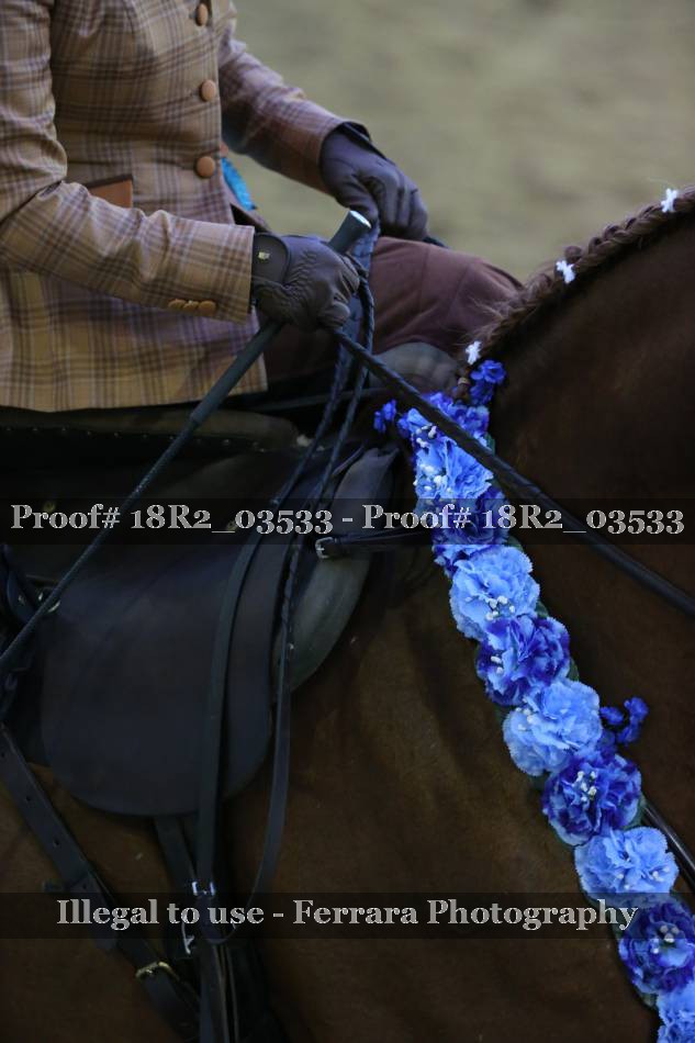 Proof 18R2_03533