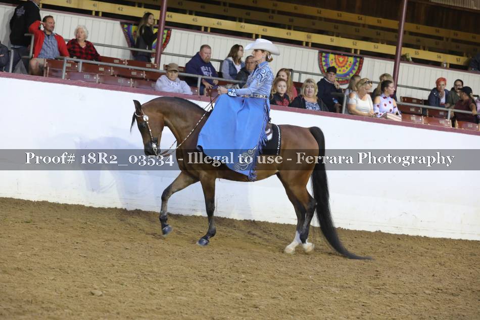 Proof 18R2_03534