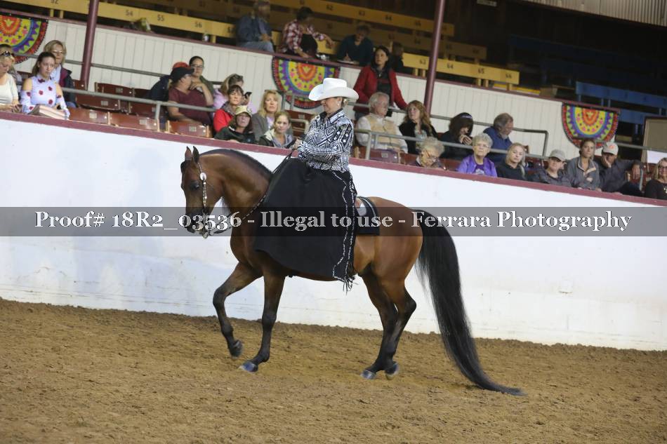 Proof 18R2_03536