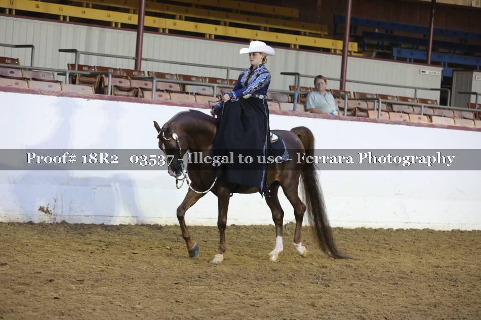 Proof 18R2_03537