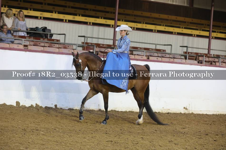 Proof 18R2_03538