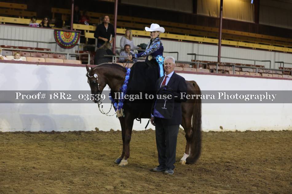 Proof 18R2_03539