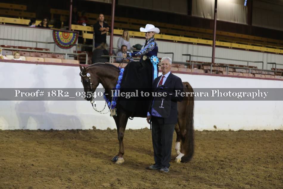 Proof 18R2_03540