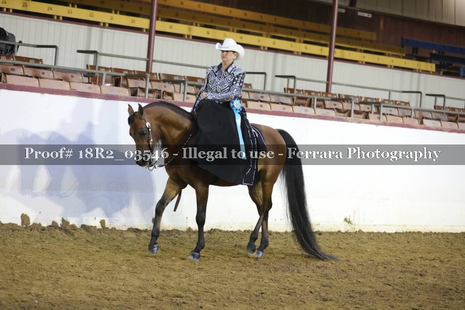 Proof 18R2_03546