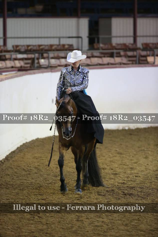 Proof 18R2_03547