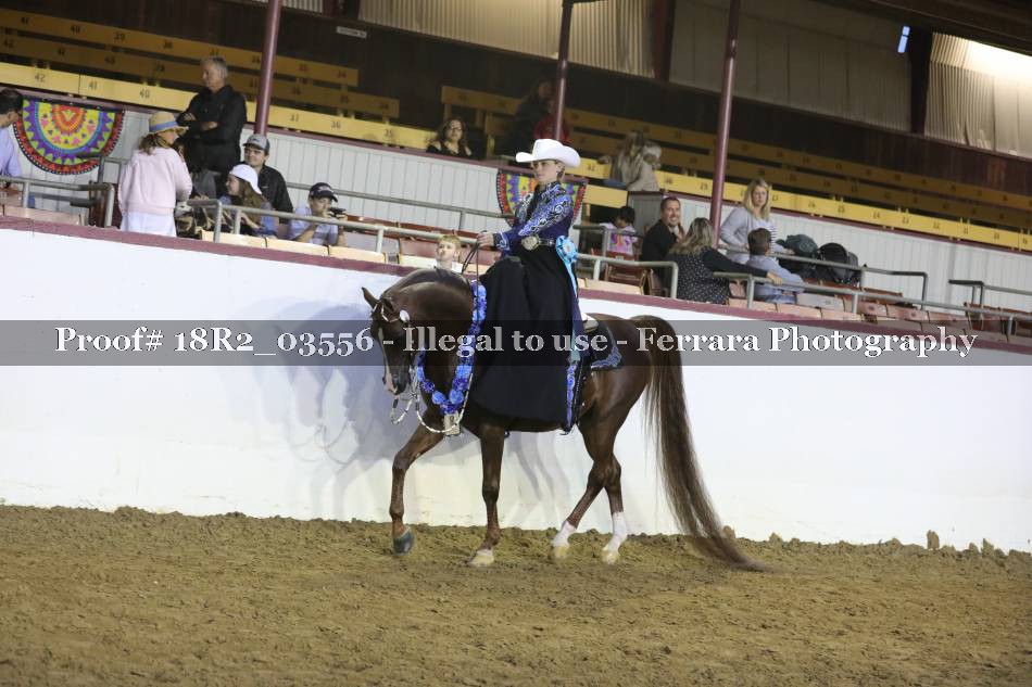Proof 18R2_03556