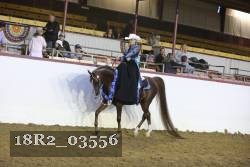 18R2_03556 proof