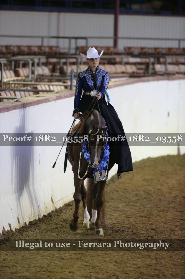 Proof 18R2_03558