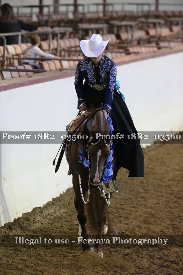 Proof 18R2_03560