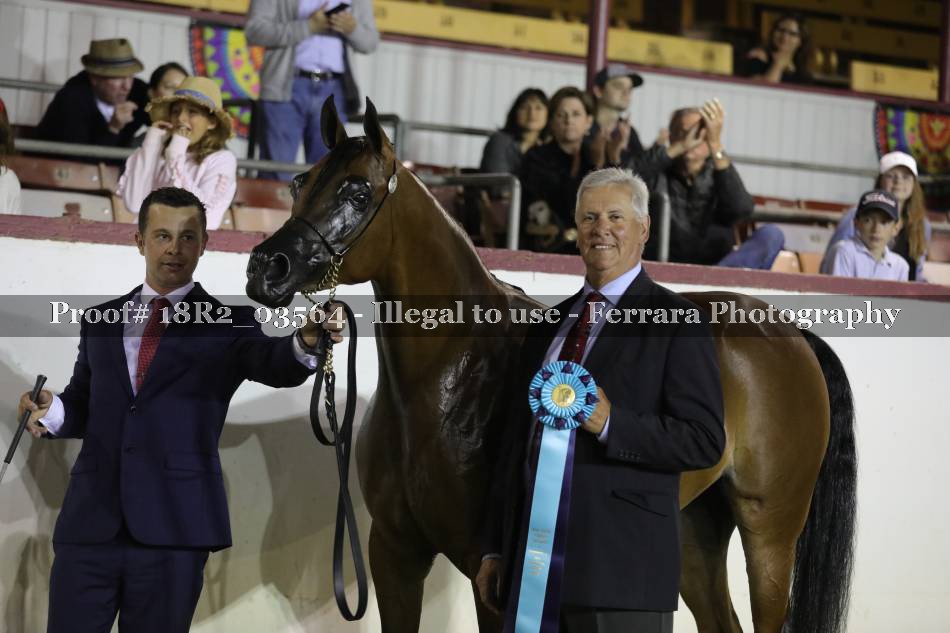 Proof 18R2_03564