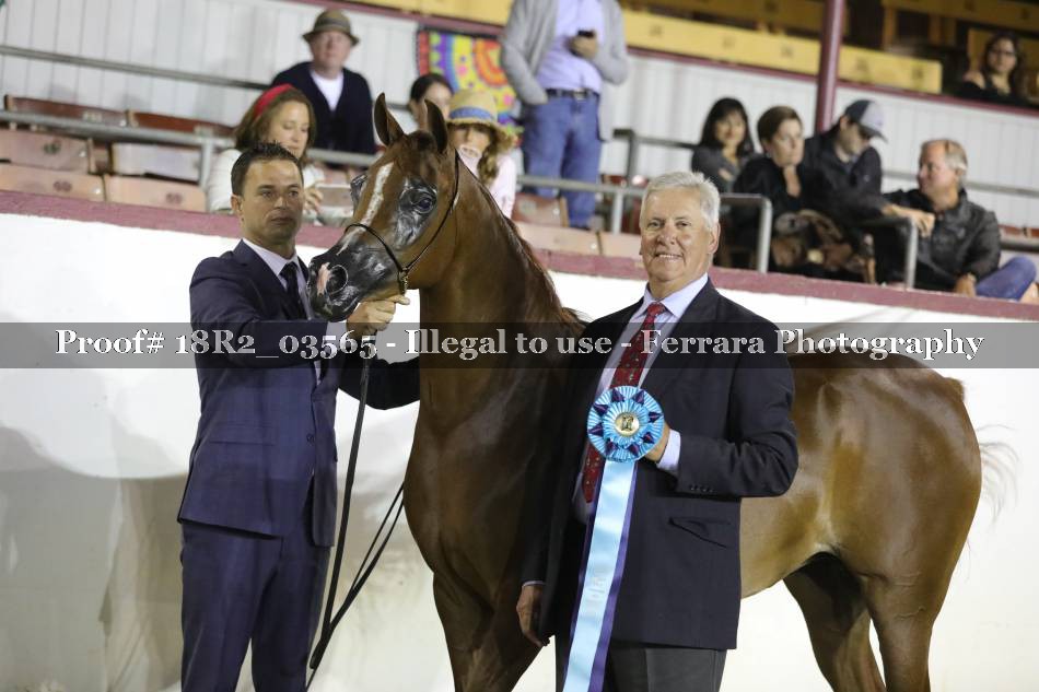 Proof 18R2_03565