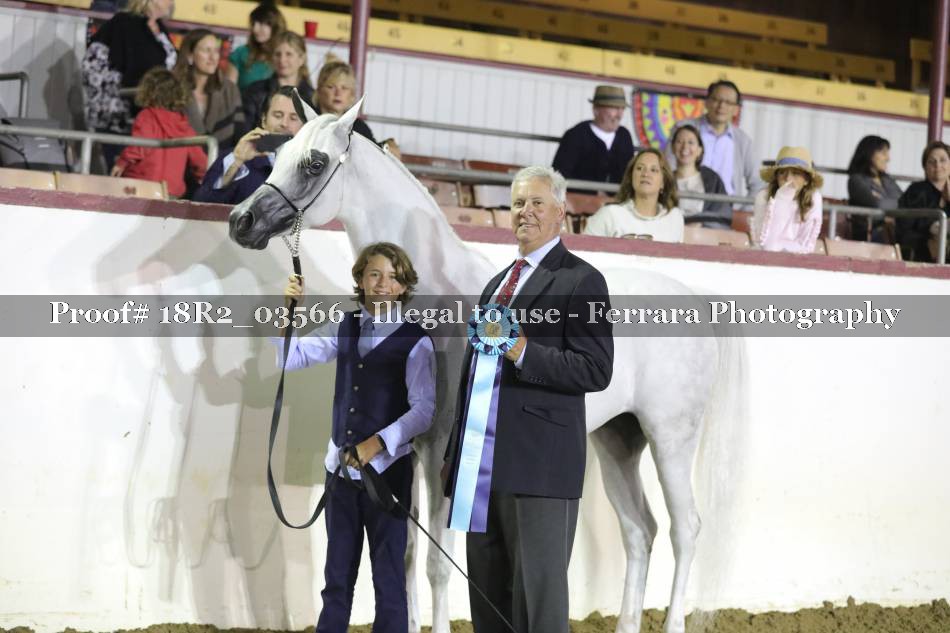 Proof 18R2_03566
