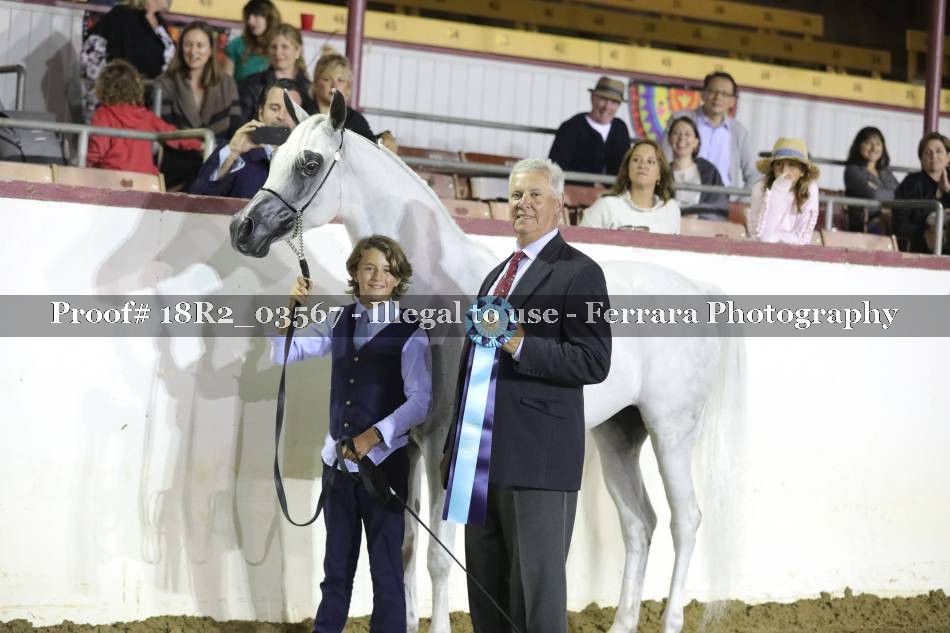 Proof 18R2_03567